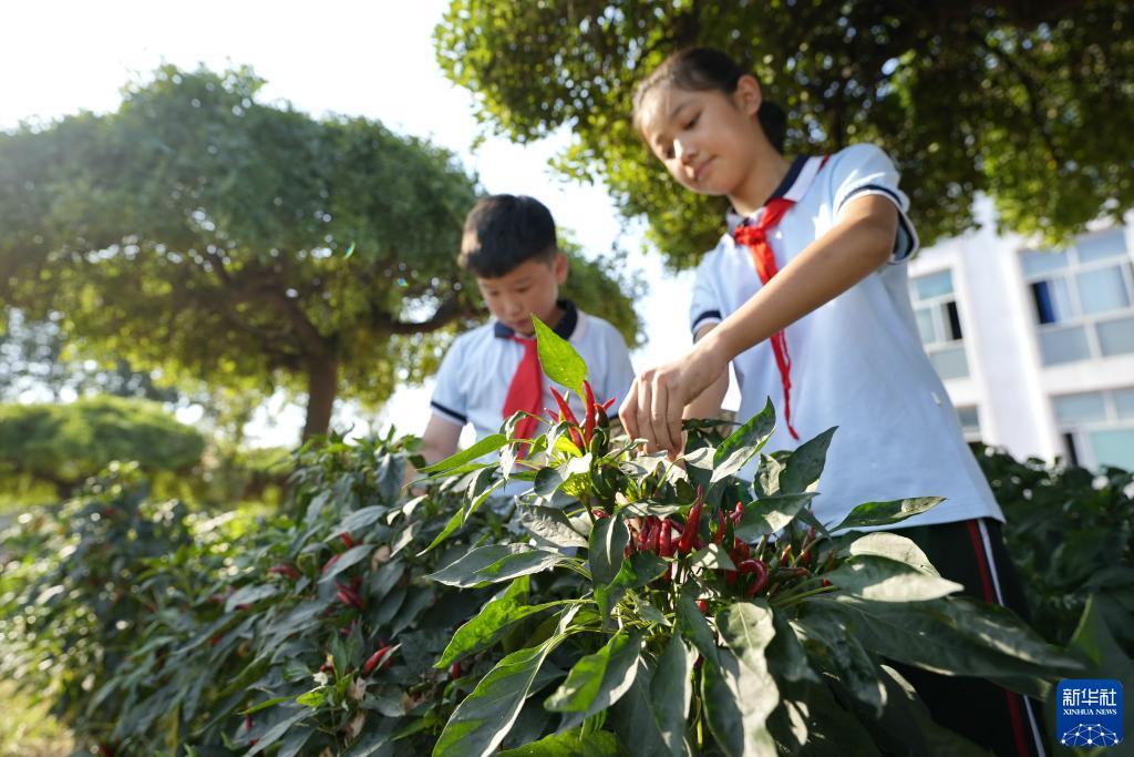 迅达官网游戏